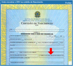 Certidão de Nascimento